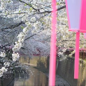 Meet your Posher, Edda